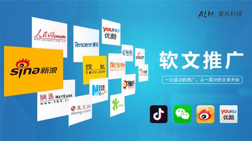 軟文代寫媒體發布全網營銷軟件開發ai人工智能